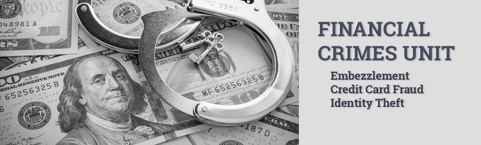 Financial Crimes Unity