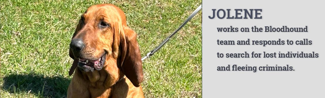 Jolene works on the Bloodhound team and responds to calls to search for lost individuals and fleeing criminals.