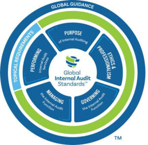 International Professional Practices Framework (IPPF) 